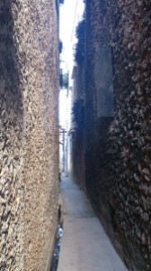 Lamu's famous Old Town's streets are narrow. If this was anywhere else, I'ldbe scared of what lurks in the corner...
